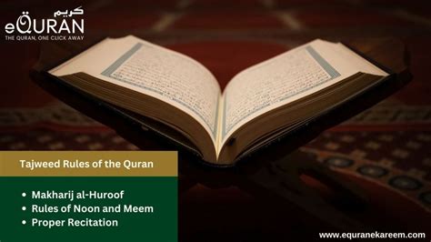 Illuminate Your Path Learn Quran And Tajweed For Spiritual Growth