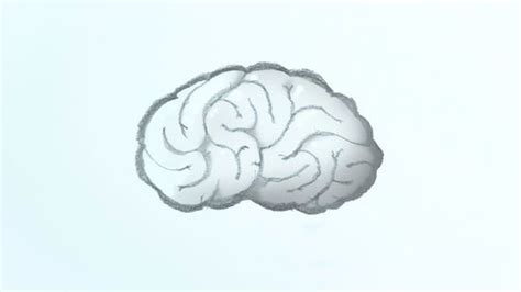 How To Draw A Brain 14 Steps With Pictures Artofit