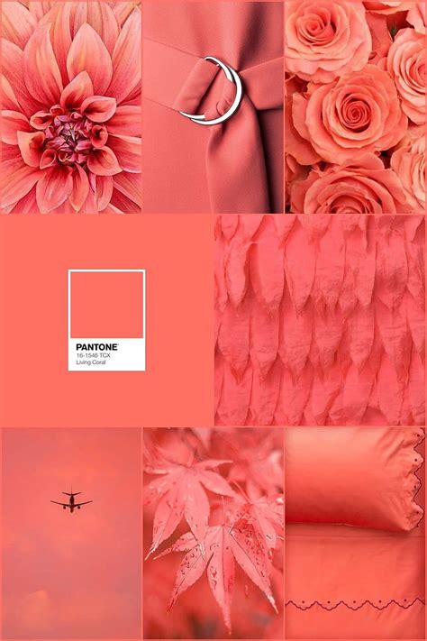 Pantone Hd Wallpaper Pxfuel