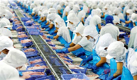 Fishery Export Reaches Us 16 Billion By 2030 Vietnam Fisheries Magazine