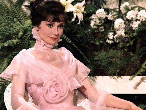 tracing  fashion history   rosette trend   wear