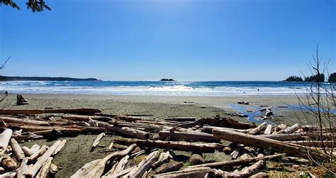 9 Top Beaches In Tofino Planetware