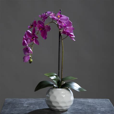 Orchidee Artificielle Hampe En Pot Ceramique Blanc H Cm Du Site