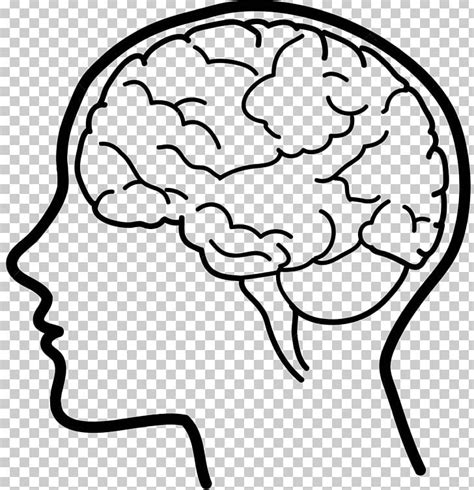 Human Brain Png Clipart Art Black And White Blog Brain Com Free