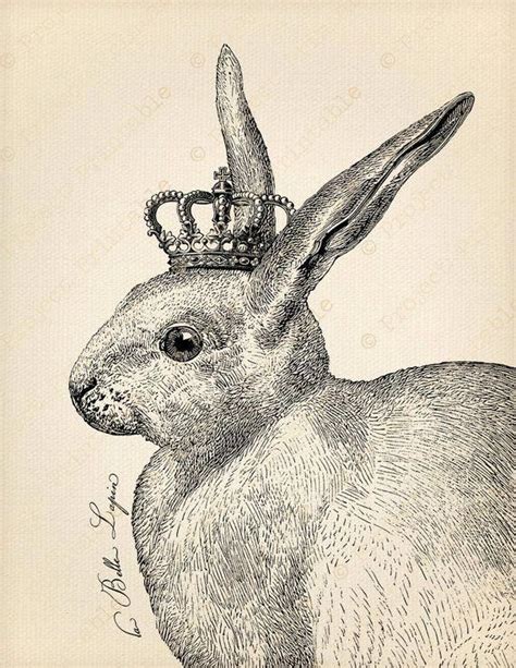 Image Vintage Rabbit Art Vintage Art