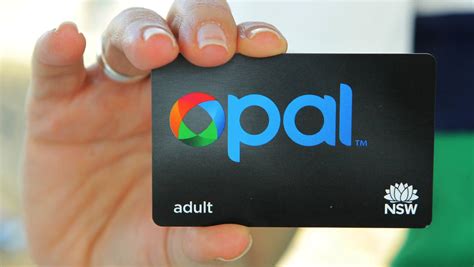 Stay onboard with the Opal Card rollout | UOWTV