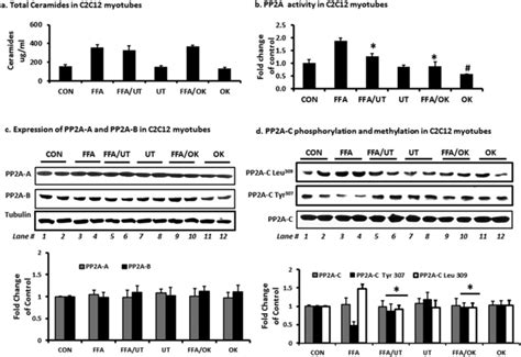 Ut Extract Attenuates Ffa Induced Hyperactivity Of Pp2a And Enhances