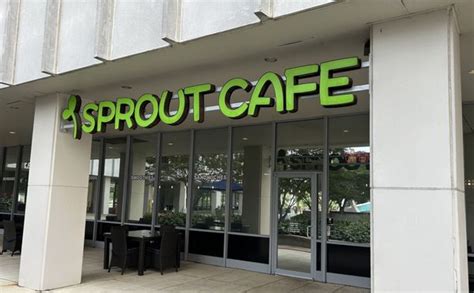 Sprout Cafe Updated January 2025 40 Photos And 24 Reviews 4350 E W