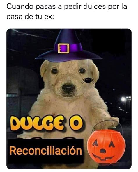 cuando pasas a pedir dulces por la casa de tu ex dulce o reconciliación memes