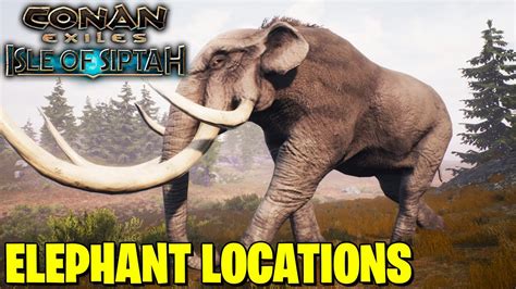 Where To Find Elephants In Conan Exiles Isles Of Siptah Youtube