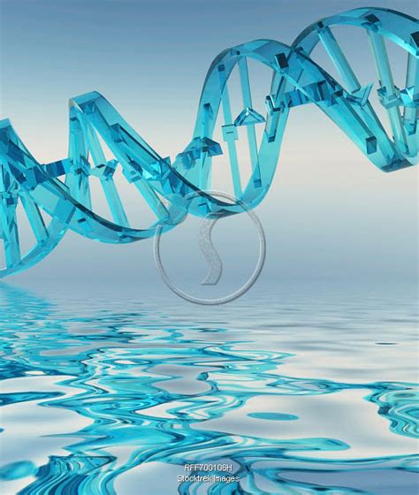 Dna Strand Refelctions D Rendering Stocktrek Images