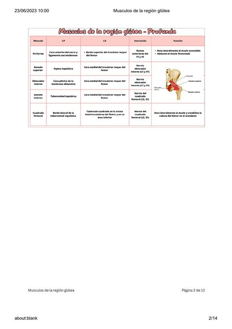 Solution Molecular Biology Bp Harvard University Musculos De La