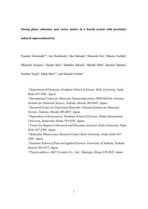 PDF Strong Phase Coherence And Vortex Matter In A Fractal System With