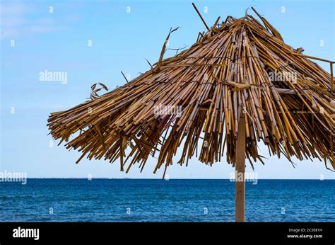 Straw Beach Umbrella Closeup On A Clear Day Stock Photo Alamy