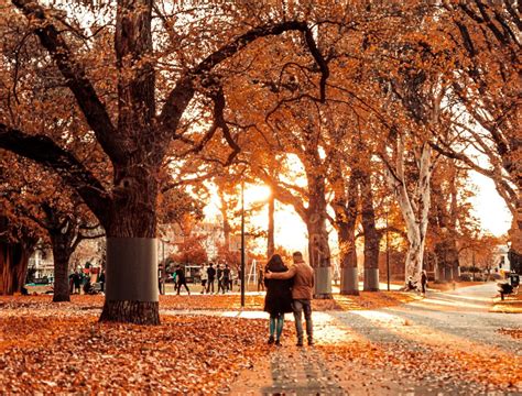 17 Photos Of Melbourne Looking Awesome In Autumn And Where To See It