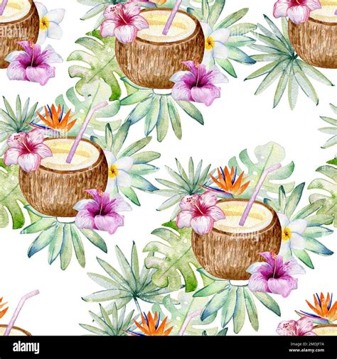 Tropical Watercolor Illustration Stock Photo Alamy