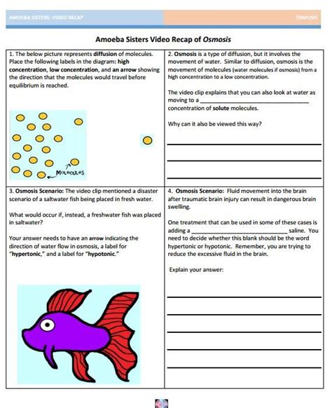 Amoeba Sisters Classification Worksheet
