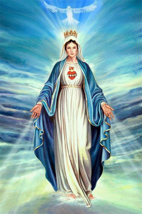 8 Diciembre Día De La Inmaculada Concepción De La Virgen María