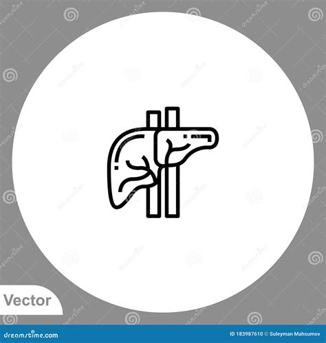 Liver Vector Icon Sign Symbol Stock Vector Illustration Of Flat Anatomy 183987610