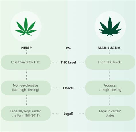 Cannabis Vs Hemp Cbdfx Uk