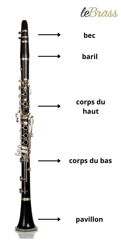 Lebrass Apprendre La Clarinette Conseils Pour Vous Lancer