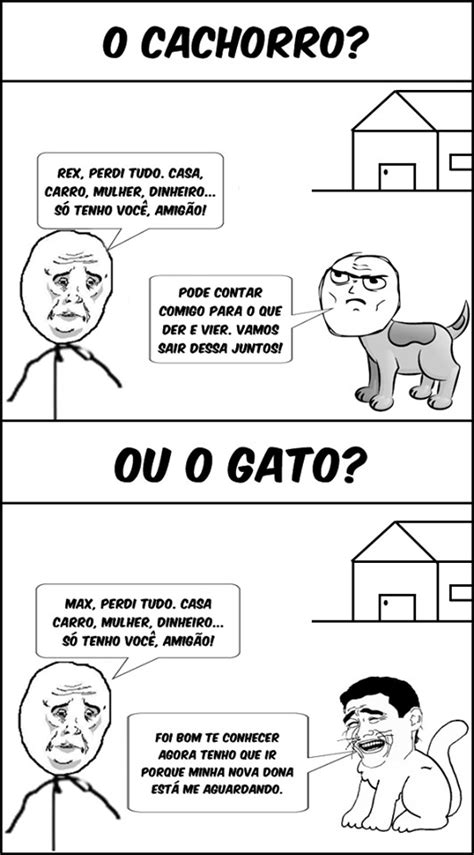 Gato E Cachorro Meme By Pedreooks Memedroid