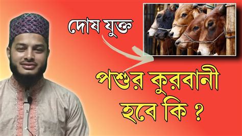 কোরবানির পশু কেমন হতে হবে দোষ যুক্ত পশুর কুরবানী হবে কি কুরবানির মাসআলা খায়র Khair Youtube