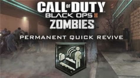 Quick Revive Pro Black Ops Ii Zombies Youtube