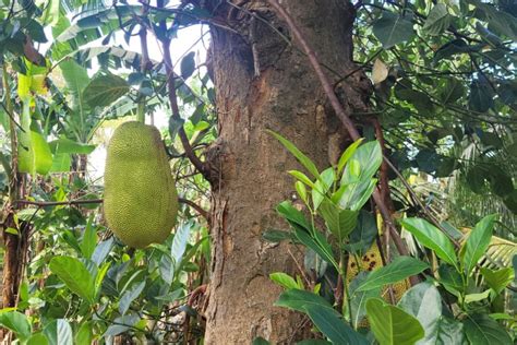 Photos De Mayotte Page