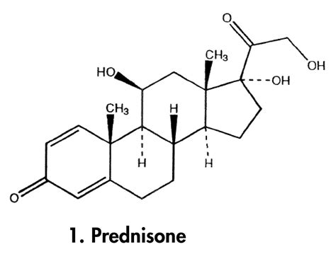 Prednisone Symmetryshield Rp18 Waters