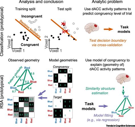 Neural Coding Of Cognitive Control The Representational Similarity