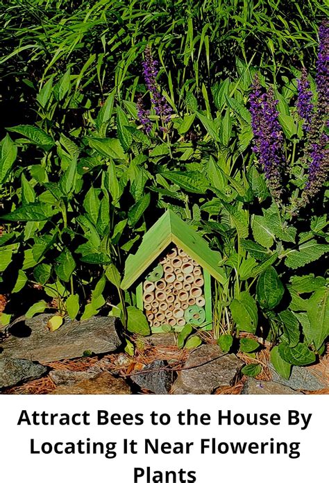 Mason Bee Houses And Supplies Bamboo Tube Bee Hotel Para Abejas