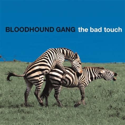 Listen to music albums featuring Bloodhound Gang - The Bad Touch (Basstrologe Bootleg) FREE DL ...