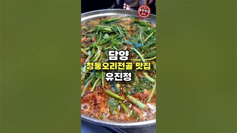 담양맛집 청둥오리전골 유진정 Youtube