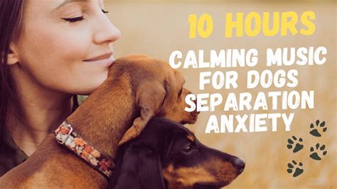 10 Hrs Separation Anxiety Music For Dog Relaxation Calming Music For