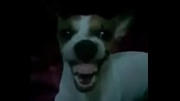 Rola XVIDEOS