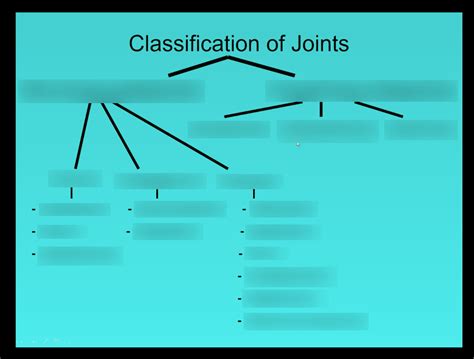 Classification Of Joints Diagram Quizlet