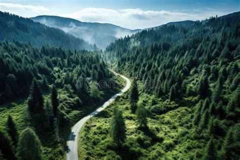 Aerial Top View Mountaint Road In Dark Green Forest Stock Image