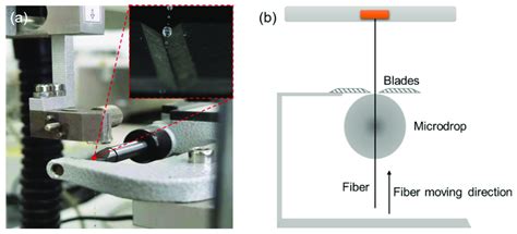 (a) Photo of the pull-out test device; (b) Schematic diagram of the ...