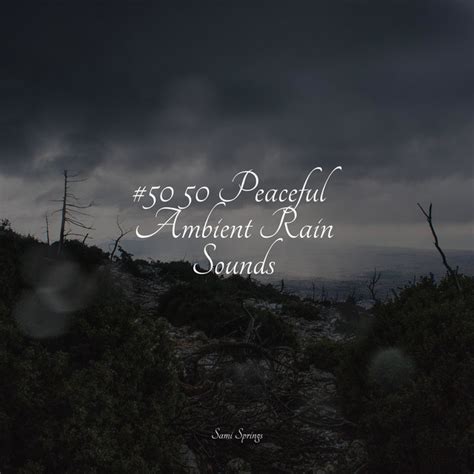 Peaceful Ambient Rain Sounds Album By Meditacou Musica