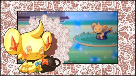 LIVE Static Shiny Shinx After 11 747 REs In Platinum YouTube