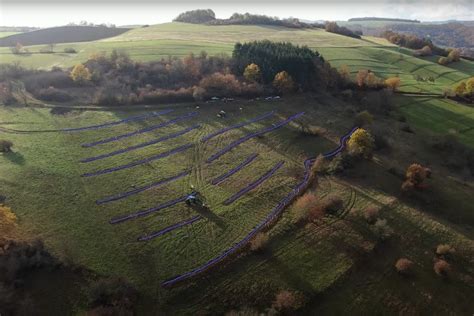 AFaktive Agroforstwirtschaft als Schlüssel zur Verbesserung des