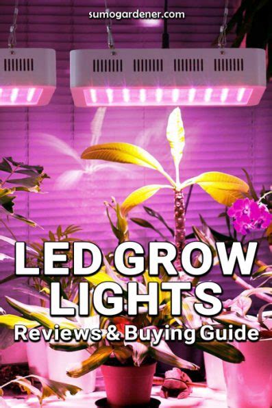 7 Best Led Grow Lights 2024 Reviews And Buying Guide