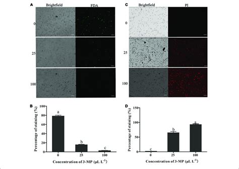 Evaluation Of The Spore Viability And Membrane Integrity Of B