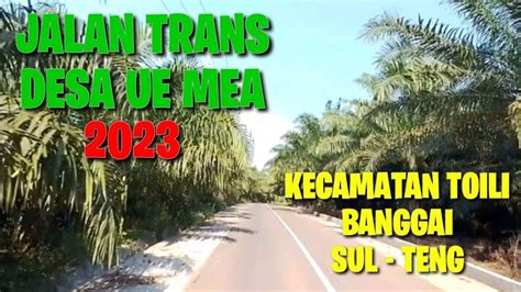 Jalan Trans Ue Mea Menikmati Indahnya Suasana Perkebunan Kelapa Sawit