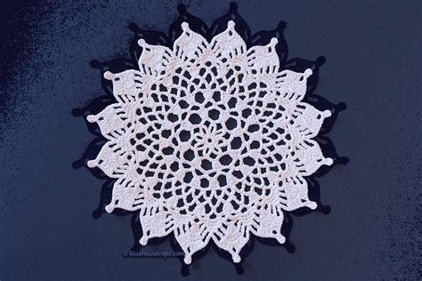 Dainty Petals Doily Blueraindrops Arts And Crafts