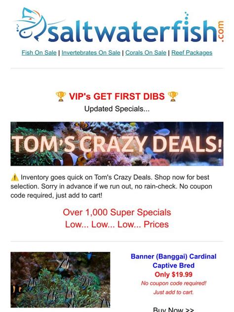 Salt Water Fish 🐠🏆vips Get First Dibs Updated Toms Crazy Deals