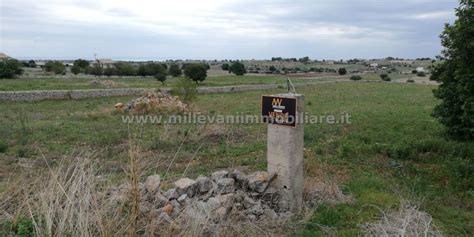 Terreno In Vendita In Contrada Busitta S N C Michelica Musebbi