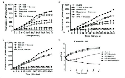 Effect Of Rp On The Accumulation Of Ethidium Bromide By S Aureus