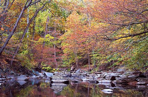 Best Rock Creek Park Stock Photos, Pictures & Royalty-Free Images - iStock